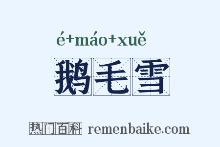 鹅毛雪是什么意思的图片